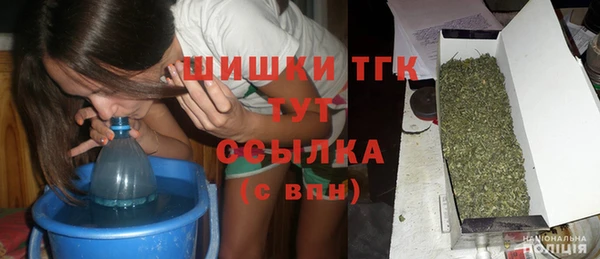 прущие грибы Аркадак