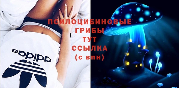 прущие грибы Аркадак