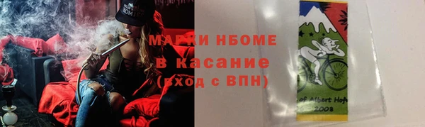 прущие грибы Аркадак